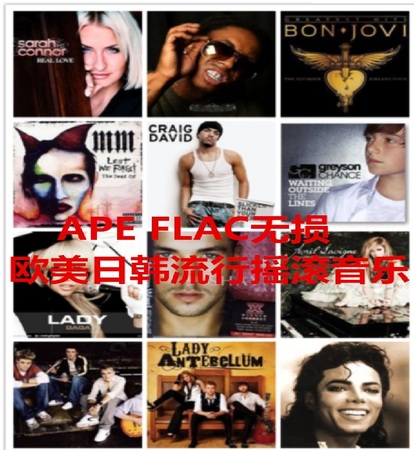 欧美音乐网盘 FLAC APE华语流行音乐 百度云盘硬盘 国语无损资源音乐