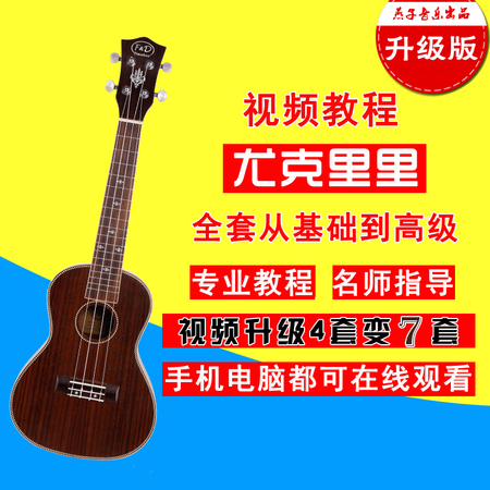 最全尤克里里教程视频适合入门自学乌克丽丽教学视频零基础